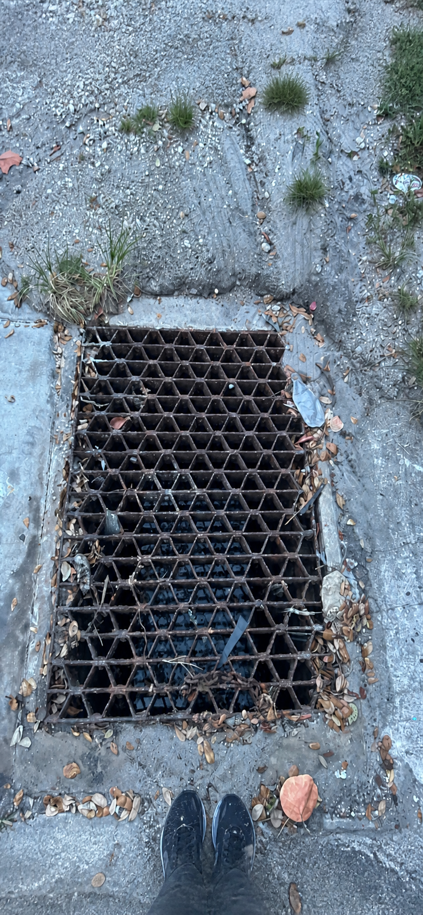 A cleared storm drain grate ready to carry away rainwater