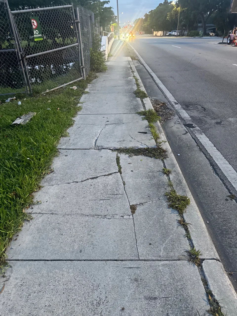 Sidewalk damage or obstruction