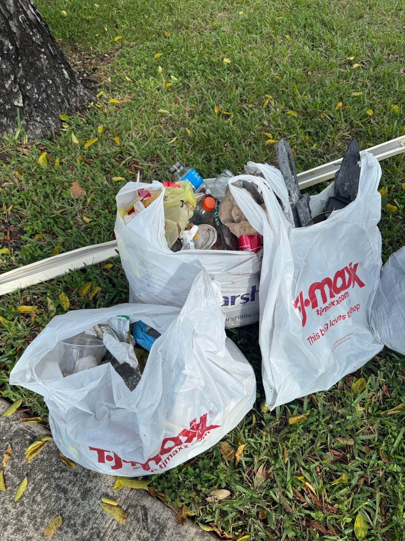 Bags of litter collected from under a hedge