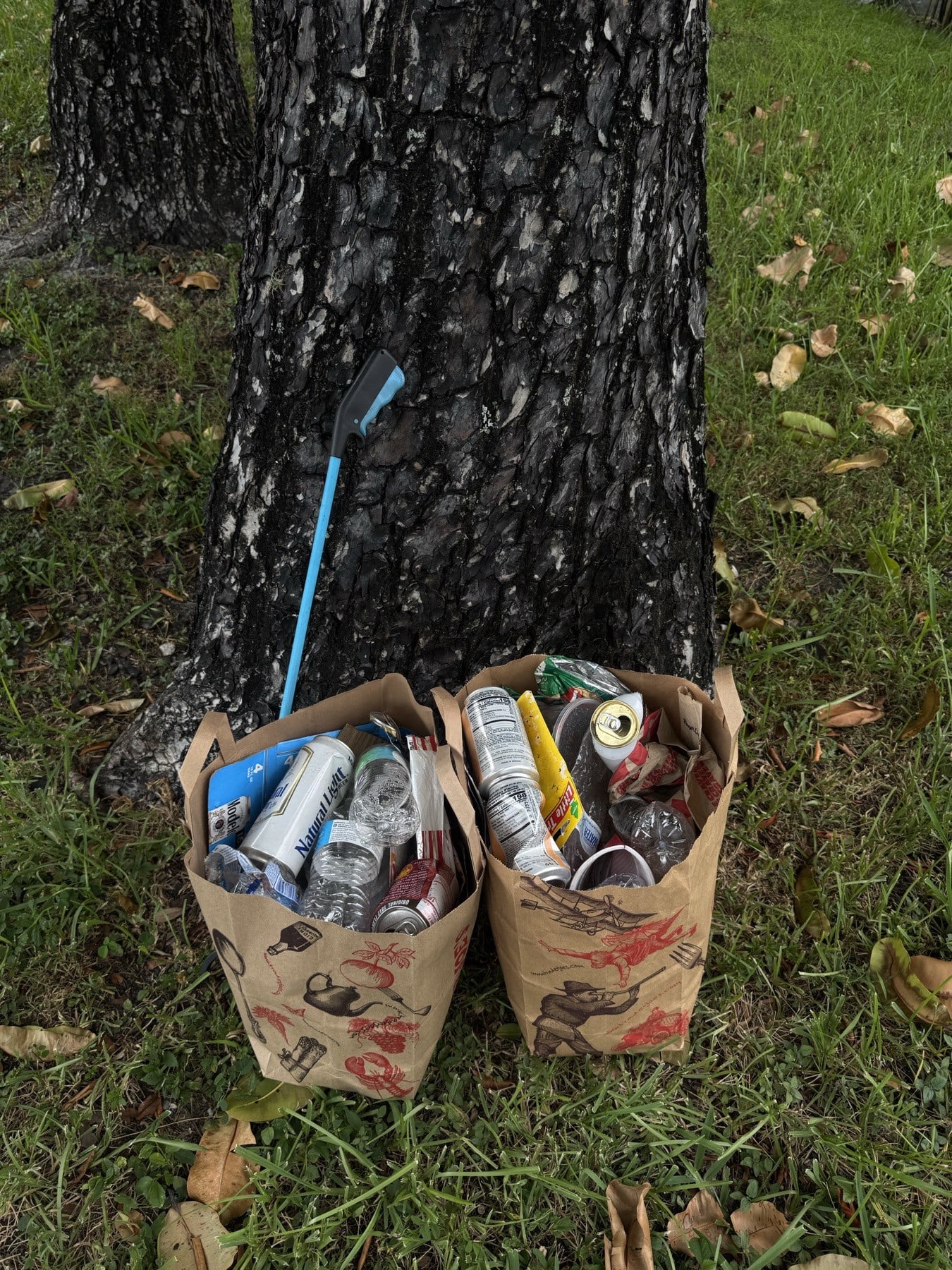 Two bags of cans and bottles collected under a tree