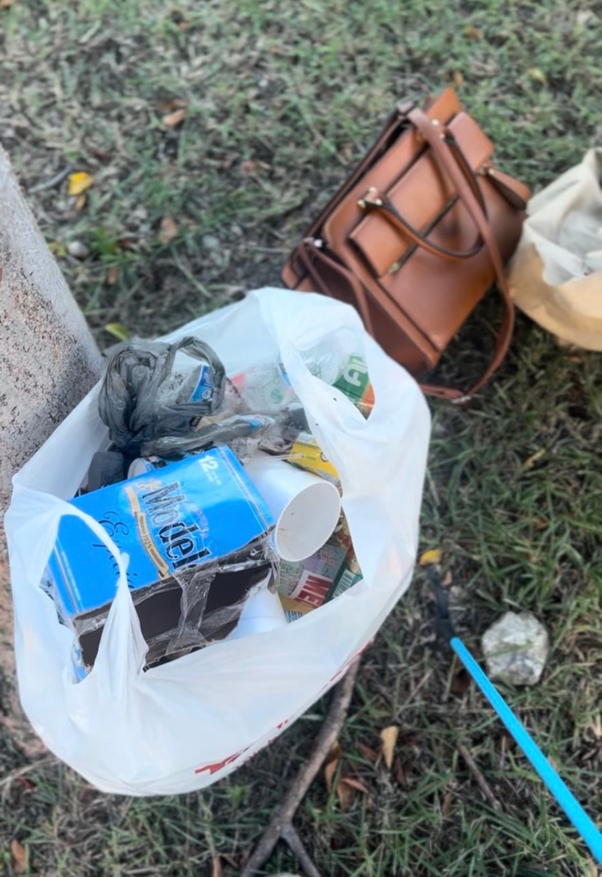 A bag of litter collected next to a discarded handbag